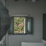 Terra * Páros