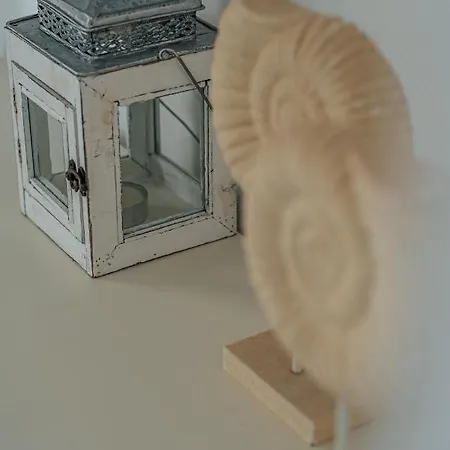 Villa Terra Parikia (Paros)