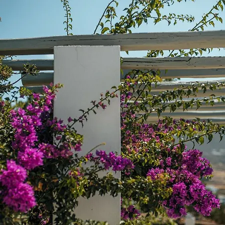 Terra Páros